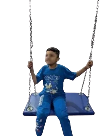 Platform Swing