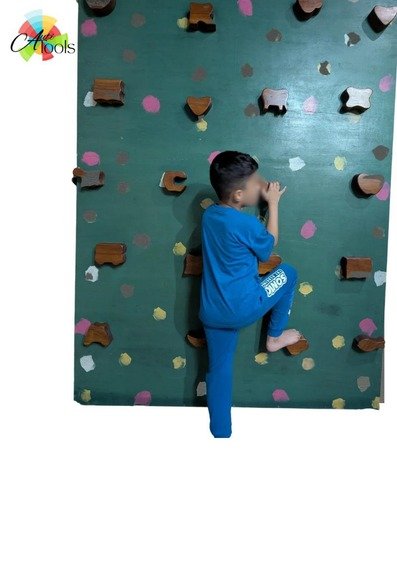 Wall Climber